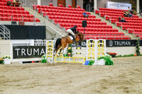 2025 - Haylee - Royal West - Wednesday October 22nd - 06650