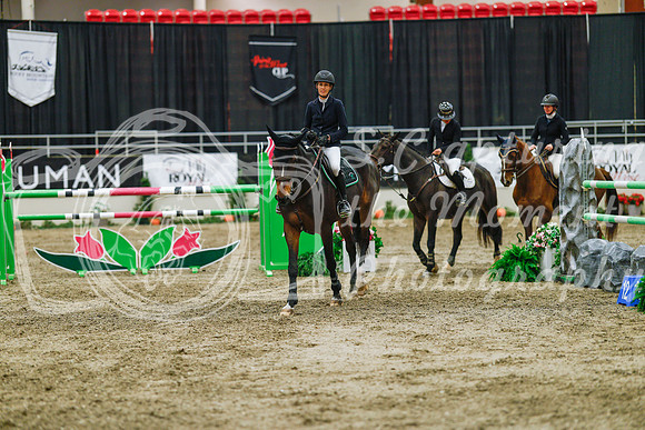 2025 - Haylee - Royal West - Wednesday October 22nd - 07915