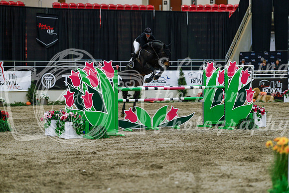 2025 - Haylee - Royal West - Wednesday October 22nd - 09344