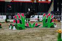 2025 - Haylee - Royal West - Wednesday October 22nd - 09345