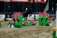2025 - Haylee - Royal West - Wednesday October 22nd - 09346