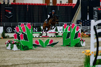 2025 - Haylee - Royal West - Wednesday October 22nd - 09564