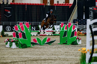 2025 - Haylee - Royal West - Wednesday October 22nd - 09565