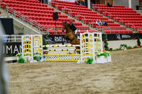 2025 - Haylee - Royal West - Wednesday October 22nd - 03345