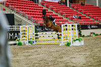 2025 - Haylee - Royal West - Wednesday October 22nd - 03350