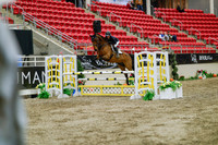 2025 - Haylee - Royal West - Wednesday October 22nd - 03351