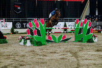 2025 - Haylee - Royal West - Wednesday October 22nd - 08555