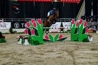 2025 - Haylee - Royal West - Wednesday October 22nd - 08557