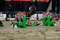 2025 - Haylee - Royal West - Wednesday October 22nd - 08558