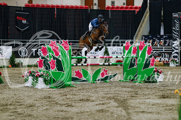 2025 - Haylee - Royal West - Wednesday October 22nd - 08563