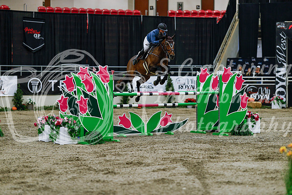 2025 - Haylee - Royal West - Wednesday October 22nd - 08564