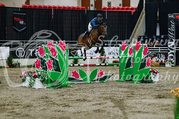 2025 - Haylee - Royal West - Wednesday October 22nd - 08565