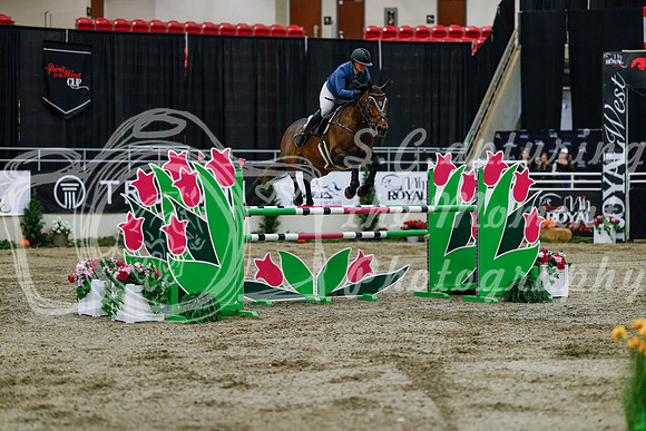 2025 - Haylee - Royal West - Wednesday October 22nd - 08566