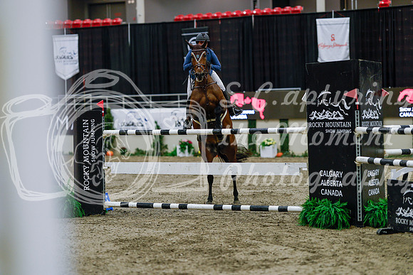 2025 - Haylee - Royal West - Wednesday October 22nd - 08570