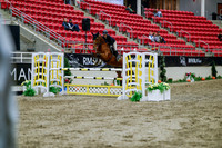 2025 - Haylee - Royal West - Wednesday October 22nd - 05504