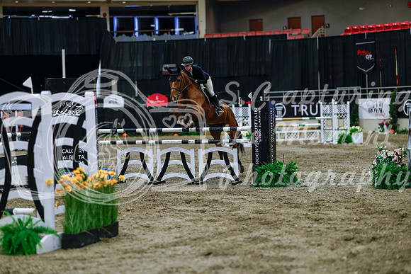 2025 - Haylee - Royal West - Wednesday October 22nd - 05517