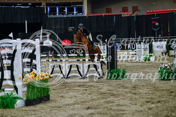 2025 - Haylee - Royal West - Wednesday October 22nd - 05516