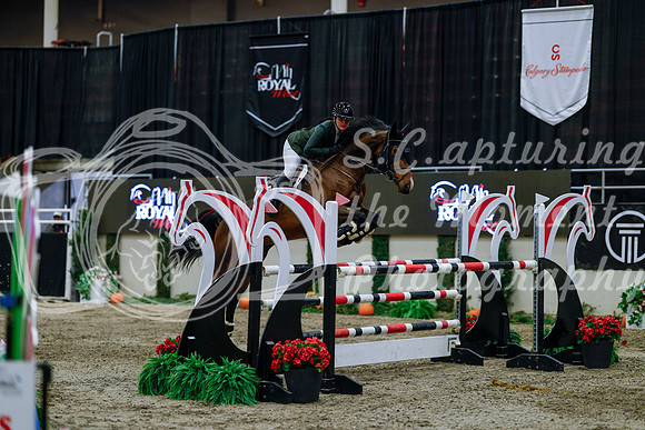 2025 - Haylee - Royal West - Wednesday October 22nd - 05554