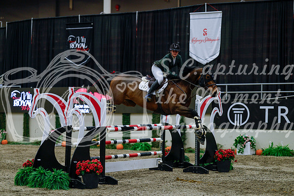 2025 - Haylee - Royal West - Wednesday October 22nd - 05565