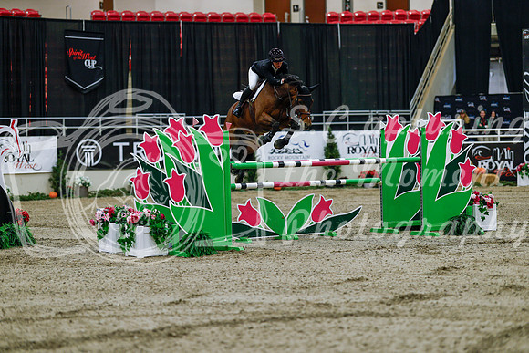 2025 - Haylee - Royal West - Wednesday October 22nd - 09656