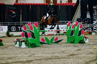 2025 - Haylee - Royal West - Wednesday October 22nd - 09662