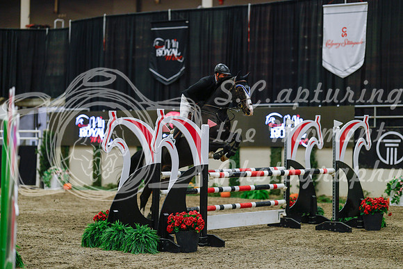 2025 - Haylee - Royal West - Wednesday October 22nd - 03591