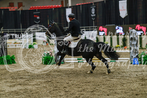 2025 - Haylee - Royal West - Wednesday October 22nd - 03615