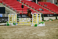2025 - Haylee - Royal West - Wednesday October 22nd - 03663