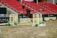 2025 - Haylee - Royal West - Wednesday October 22nd - 03668