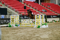 2025 - Haylee - Royal West - Wednesday October 22nd - 03669