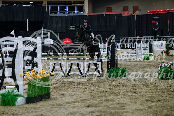 2025 - Haylee - Royal West - Wednesday October 22nd - 05733