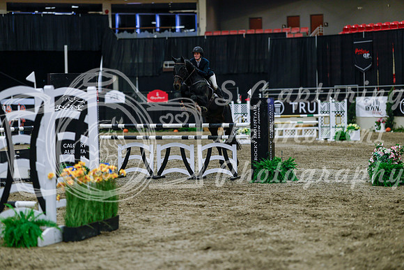 2025 - Haylee - Royal West - Wednesday October 22nd - 05734