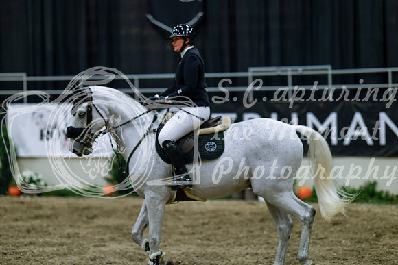 2025 - Haylee - Royal West - Wednesday October 22nd - 06026