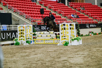 2025 - Haylee - Royal West - Wednesday October 22nd - 03736