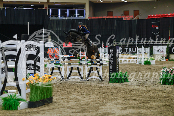 2025 - Haylee - Royal West - Wednesday October 22nd - 03755