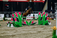 2025 - Haylee - Royal West - Wednesday October 22nd - 09847