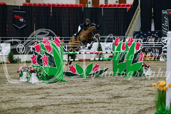 2025 - Haylee - Royal West - Wednesday October 22nd - 09849