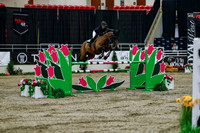 2025 - Haylee - Royal West - Wednesday October 22nd - 09851