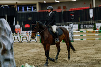 2025 - Haylee - Royal West - Wednesday October 22nd - 02714