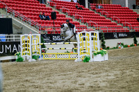 2025 - Haylee - Royal West - Wednesday October 22nd - 06144