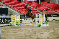 2025 - Haylee - Royal West - Wednesday October 22nd - 02881