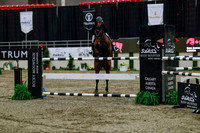 2025 - Haylee - Royal West - Wednesday October 22nd - 09955
