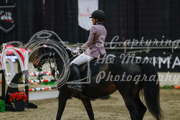 2025 - Haylee - Royal West - Wednesday October 22nd - 03859