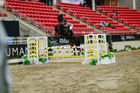 2025 - Haylee - Royal West - Wednesday October 22nd - 03878