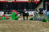 2025 - Haylee - Royal West - Wednesday October 22nd - 04022