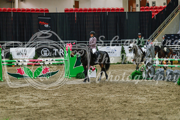 2025 - Haylee - Royal West - Wednesday October 22nd - 04023