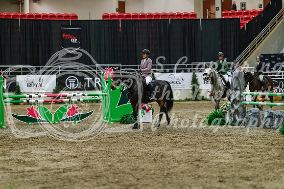 2025 - Haylee - Royal West - Wednesday October 22nd - 04024