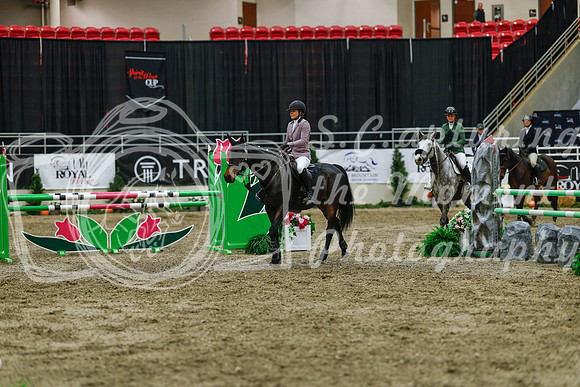 2025 - Haylee - Royal West - Wednesday October 22nd - 04025
