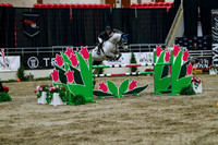 2025 - Haylee - Royal West - Wednesday October 22nd - 10461