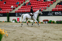 2025 - Haylee - Royal West - Wednesday October 22nd - 08335